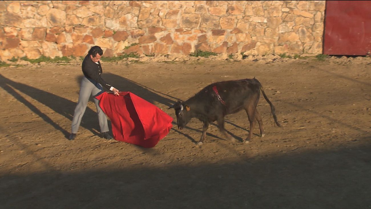 Las ganaderías madrileñas de toro bravo se ponen a punto para San Isidro