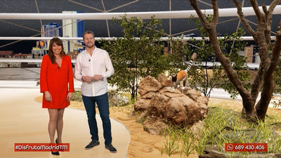 Descubre los secretos de los lémures: de Madagascar a Vicálvaro