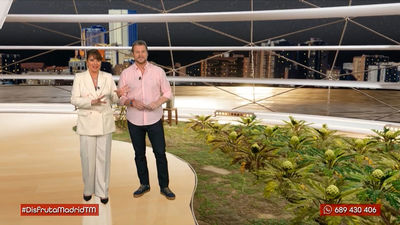 Alcachofas de Aranjuez : un negocio familiar con cinco generaciones a sus espaldas