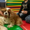 La terapia con perros beneficia a niños con trastornos de salud mental