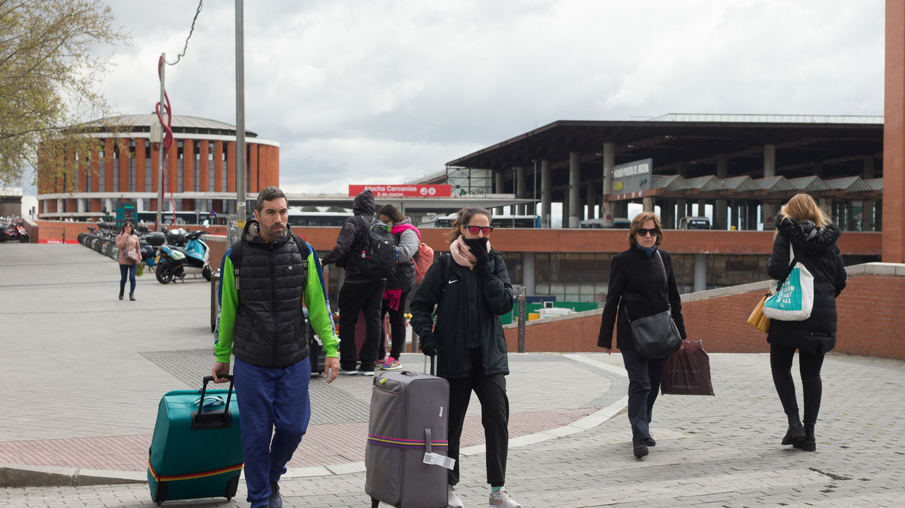 El Gobierno talará más de 400 árboles en Atocha y Aluche por las obras