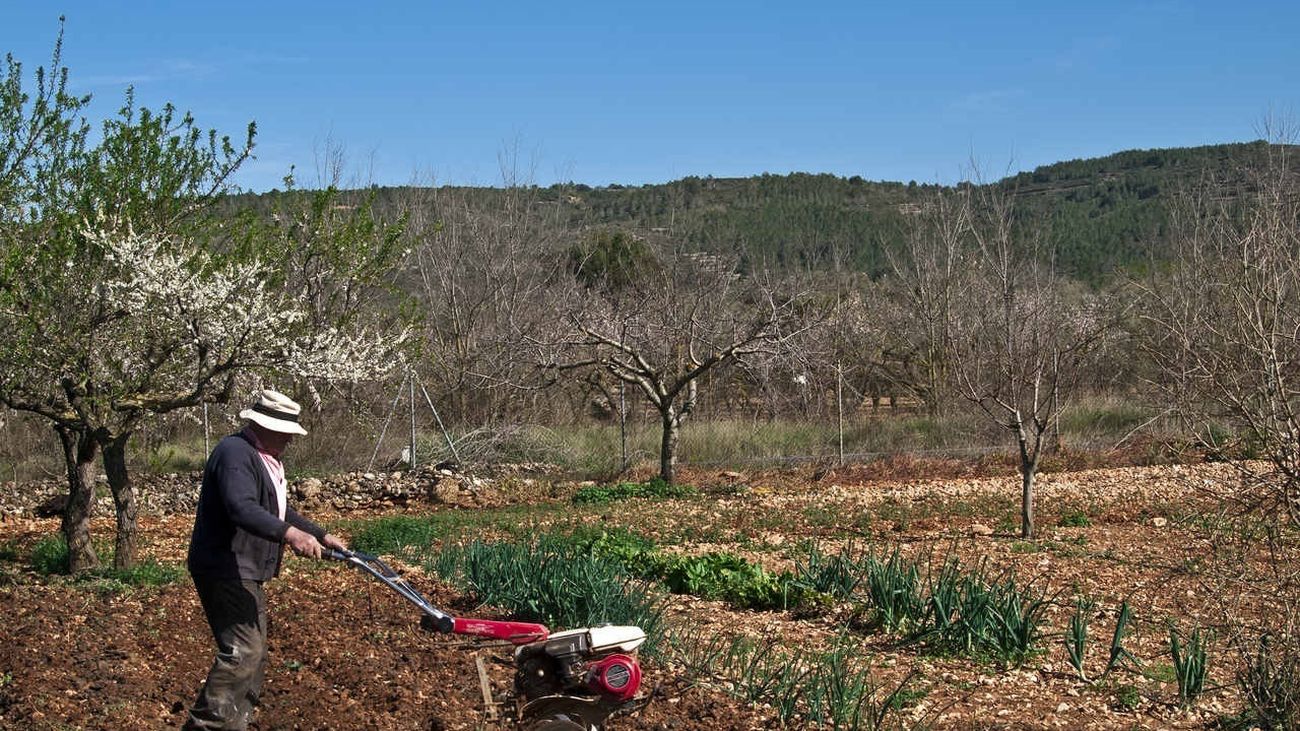Los agricultores piden "buscar una solución entre todos" para rebajar los precios de alimentación