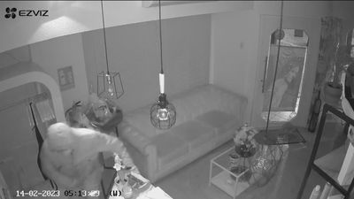 Oleada de robos en Majadahonda: seis negocios, en una sola noche