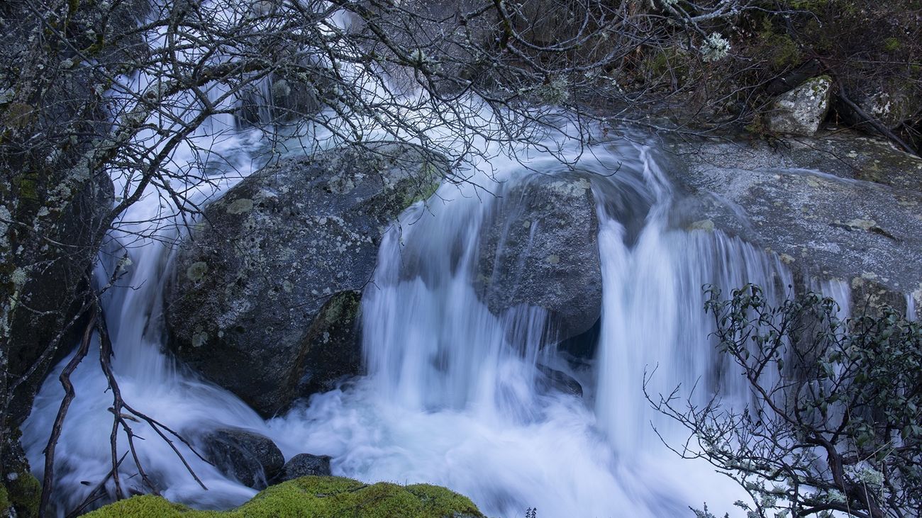 5 preguntas y respuestas para contribuir con el medio ambiente