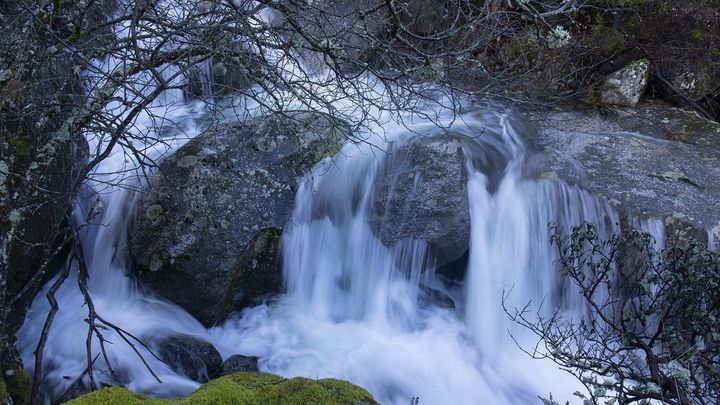 5 preguntas y respuestas para contribuir con el medio ambiente