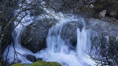 5 preguntas y respuestas para contribuir con el medio ambiente