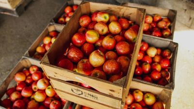 ¿En qué sector se encarecen los alimentos?: "En las empresas de distribución nadie se está forrando"