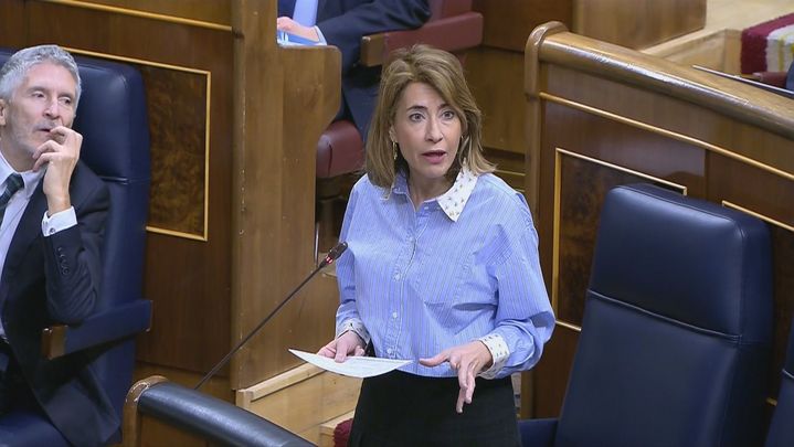 Raquel Sánchez / TELEMADRID