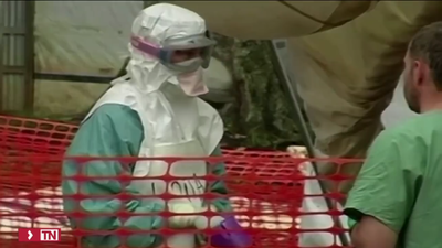 Así es el virus de Marburgo,  que produce una enfermedad letal semejante al ébola