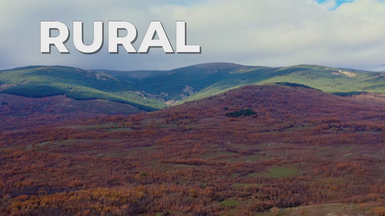 Enamorados de Madrid- Rural