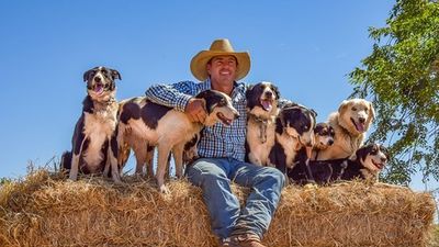 VDS 3X24: Animales en el country