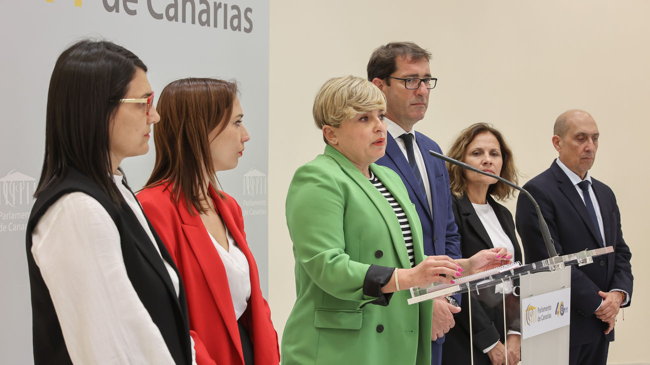 La portavoz del PSOE de Canarias en el Parlamento Canario, Nayra Alemán