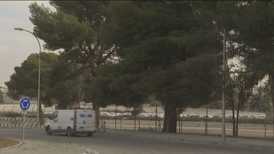 En El Retiro se reponen 450 árboles, en Villaverde temen la tala de 1.000