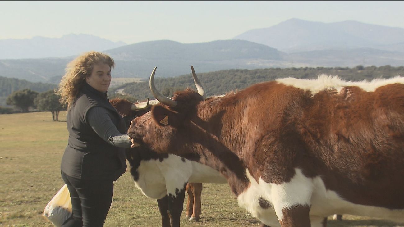 Eva y Vicky, mujeres madrileñas con nombre propio
