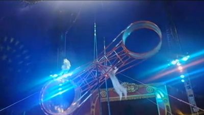 Aparatosa caída de un trapecista del Circo Quirós