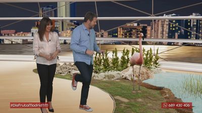 Flamencos y pelícanos en Casa de Campo