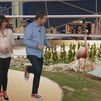Flamencos y pelícanos en Casa de Campo