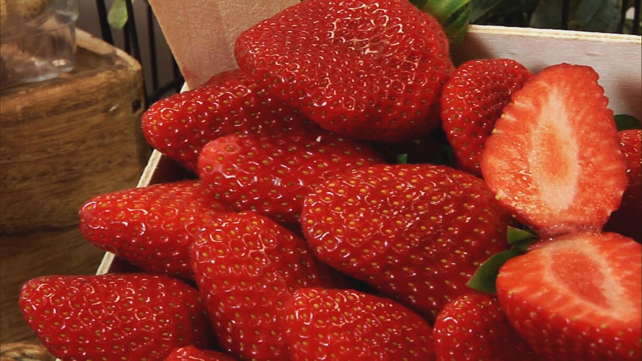 Madrid mejora tu vida 05.03.2023