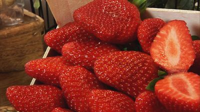 Madrid mejora tu vida 05.03.2023