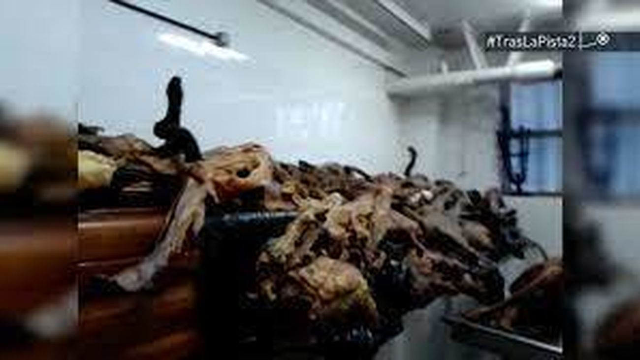 Cadáveres hacinados en un sótano de la Facultad de Medicina de la Universidad Complutense