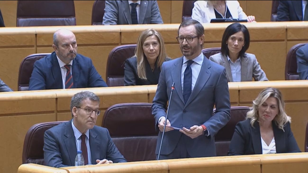 Javier Maroto al Gobierno: "Por el día piden abolir la prostitución y por la noche la consumen"