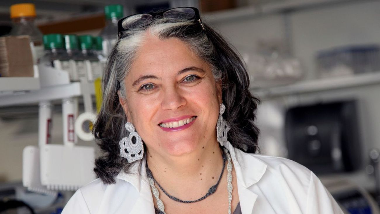 Ana Fernández Sesma