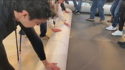 Este año no habrá alfombra roja en los Oscar