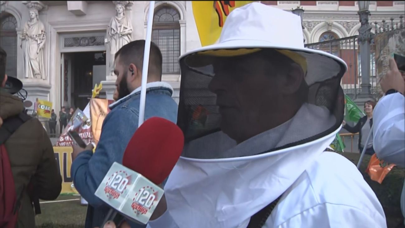 Los apicultores protestan en Madrid en defensa de la miel y piden ayudas al sector