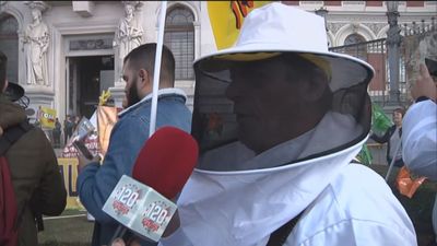 Los apicultores protestan en Madrid en defensa de la miel y piden ayudas al sector