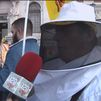 Los apicultores protestan en Madrid en defensa de la miel y piden ayudas al sector