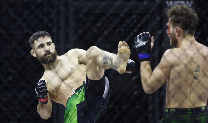 Artes marciales mixtas / EFE