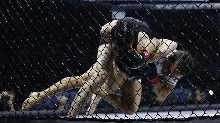 Artes marciales mixtas / EFE