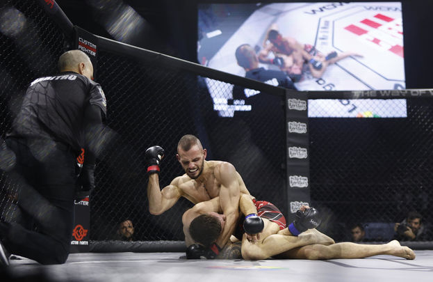 Artes marciales mixtas / EFE