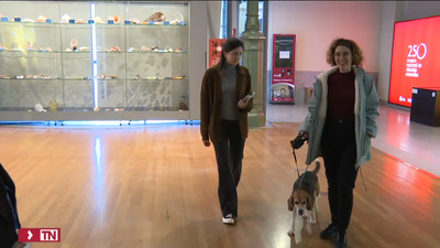 El Museo Nacional de Ciencias Naturales abre sus puertas a los perros