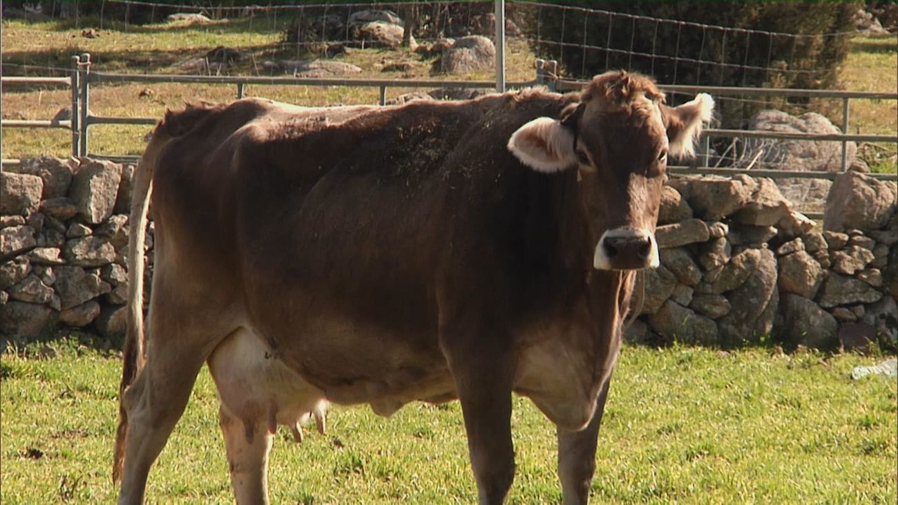 Madrid mejora tu vida 12.03.2023