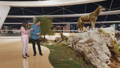 Lobos en Madrid: todo lo que querías saber sobre estos nobles animales