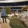Lobos en Madrid: todo lo que querías saber sobre estos nobles animales