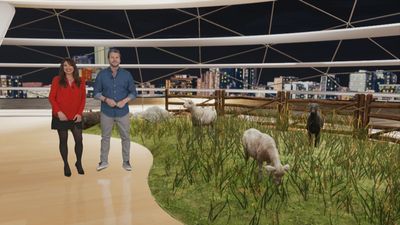 El último pastor tradicional de Villamanrique de Tajo