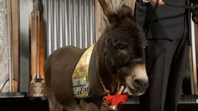 Un oso, una burra, una caída, un paracaídas… las mejores anécdotas de los Oscar