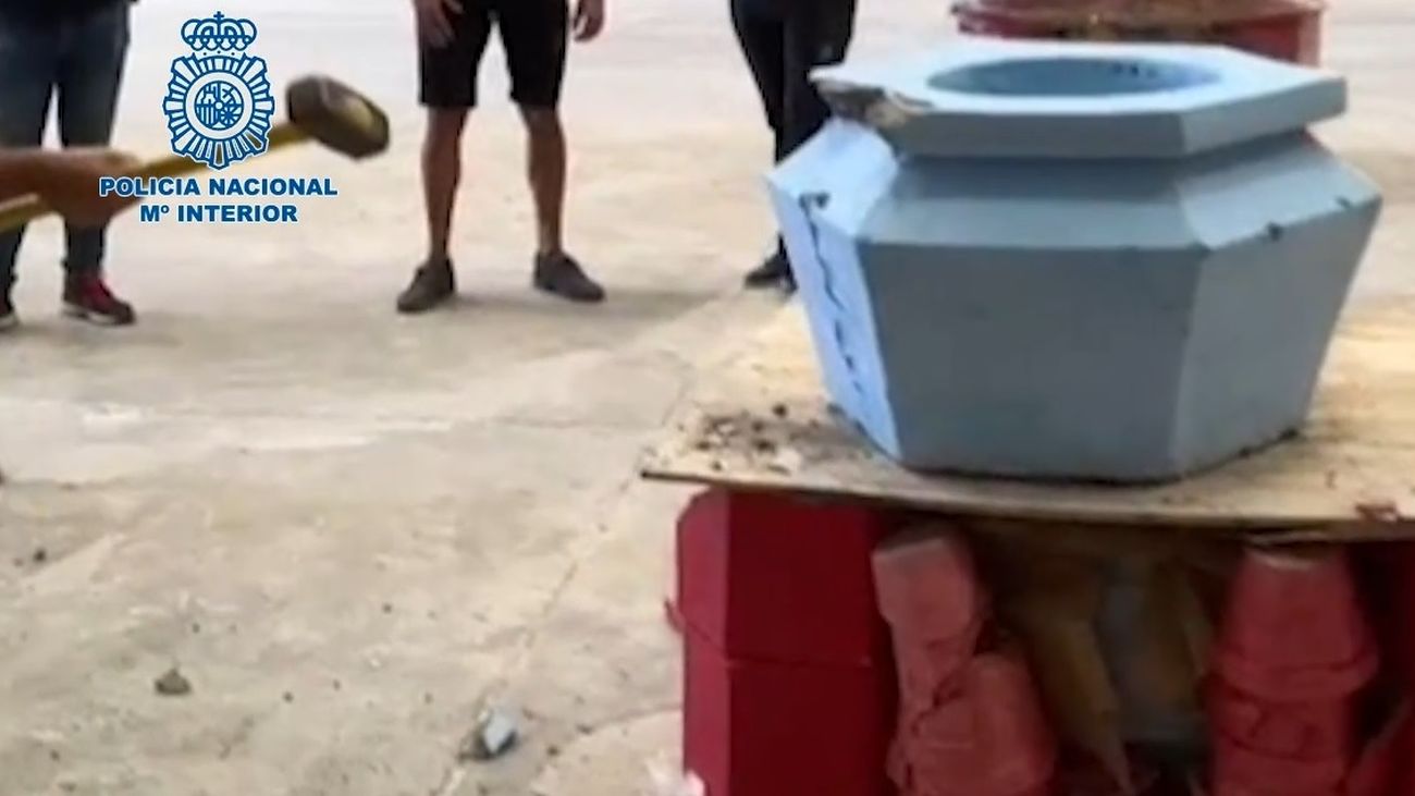 En maceteros, el insospechado sistema para trasladar cocaína en Madrid