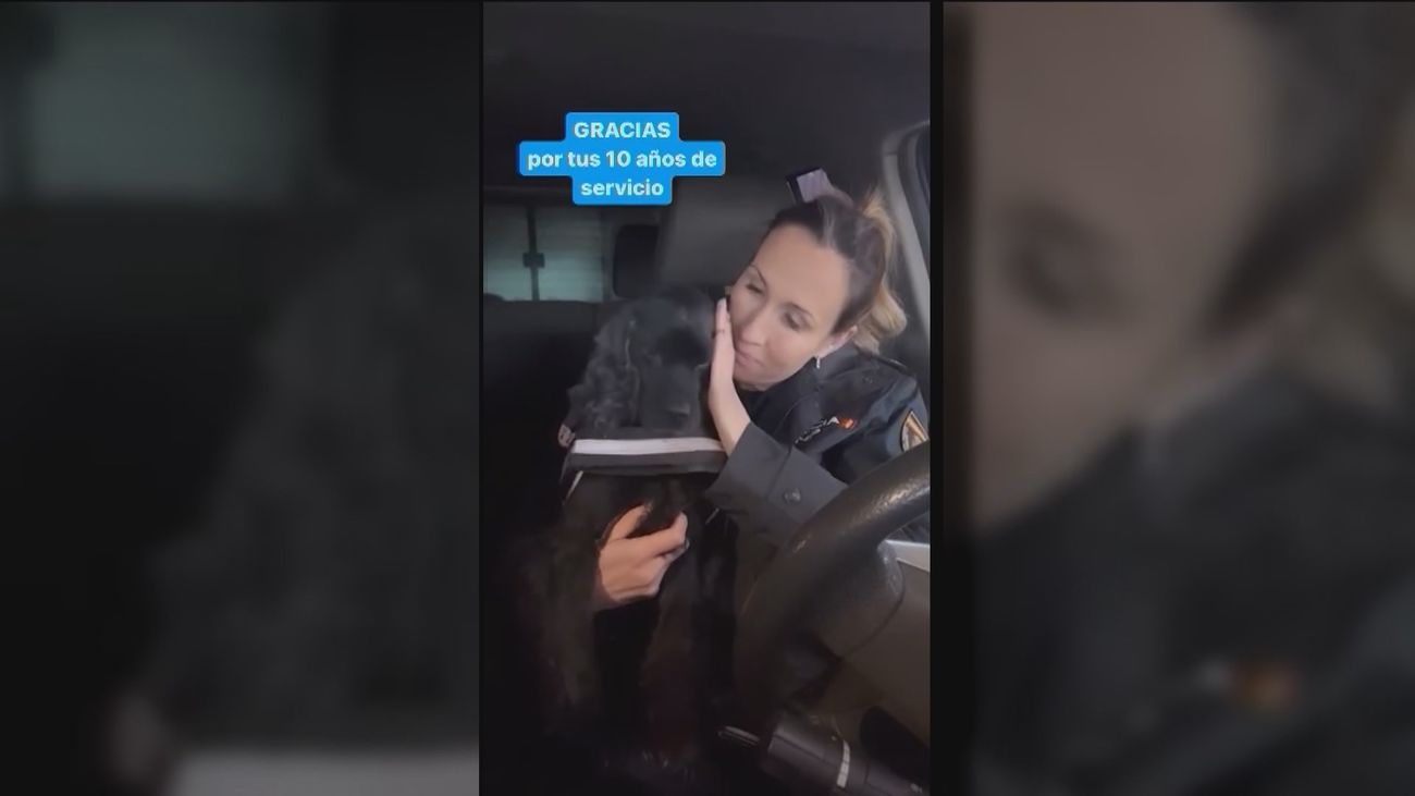 "Gracias por cuidar de todos los ciudadanos", emotiva despedida de la Policía a la perrita Lluna por su jubilación