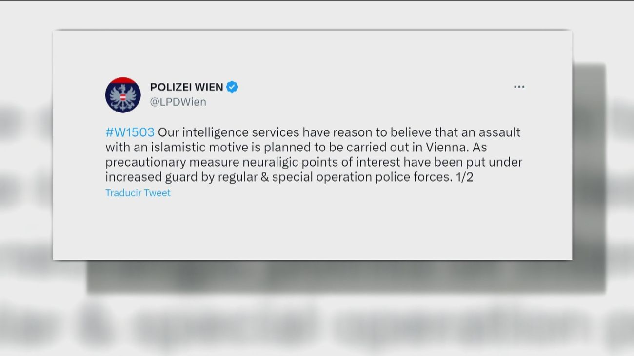 Viena, en alerta por un posible ataque terrorista en iglesias