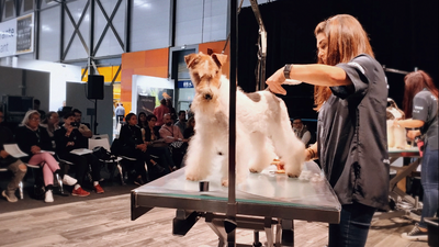 Arranca la feria internacional para el profesional del animal de compañía en Ifema