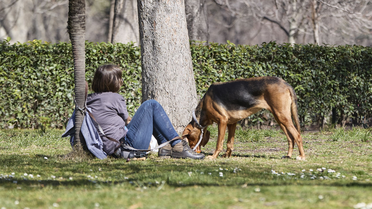 Una mujer junto a un perro en el Parque del Retiro