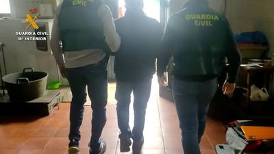 Macroperación contra el robo de aceitunas en Madrid: 21 detenidos y 17 toneladas incautadas