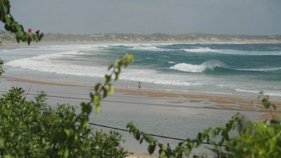 Mozambique: flora, fauna y playas