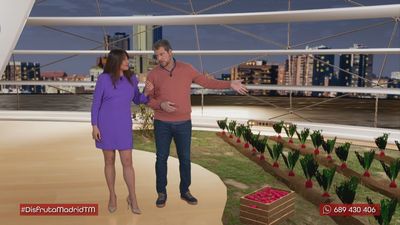 ¿Cómo se cultivan los rabanitos de Villa del Prado?