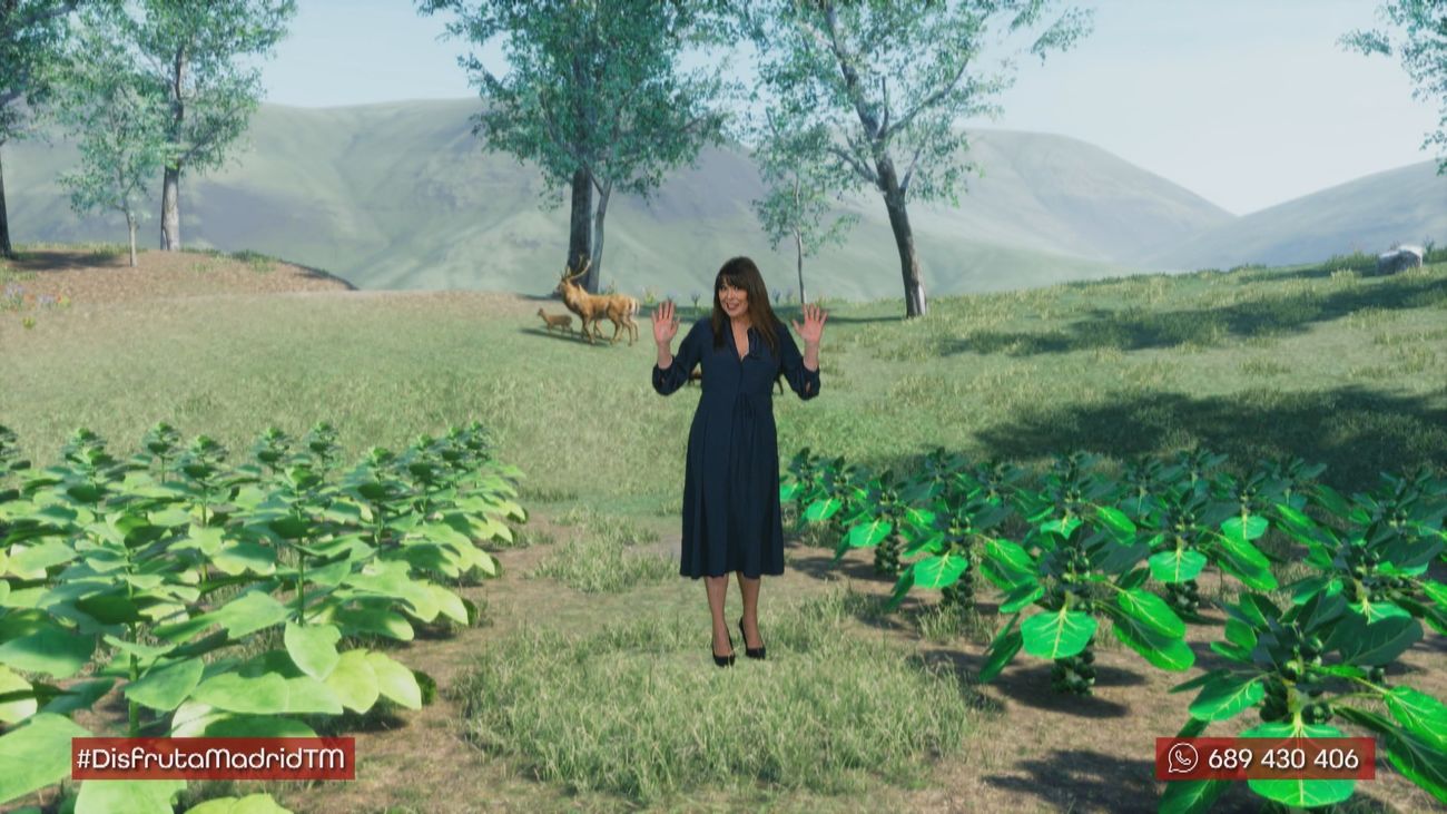 ¿En qué consiste el equinoccio de primavera?