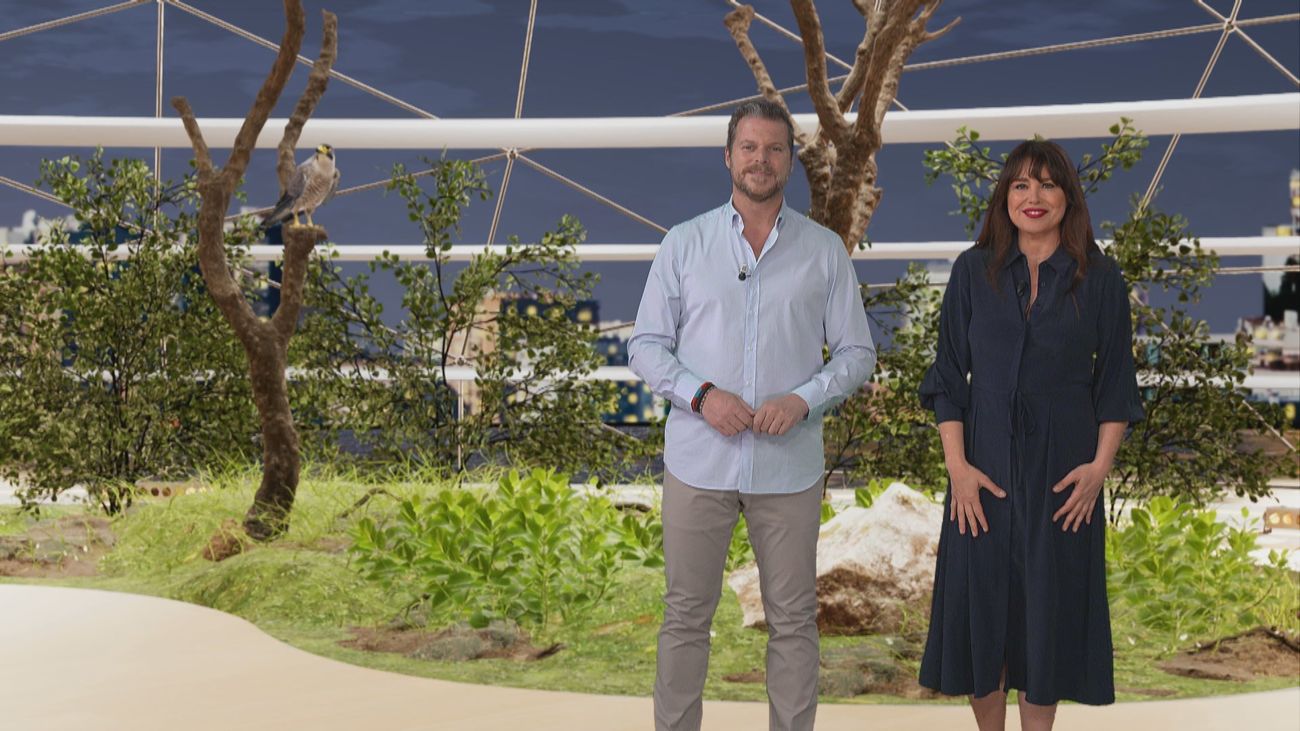 ¿Cómo utilizan los halcones los aeropuertos  para mantener seguros los cielos?