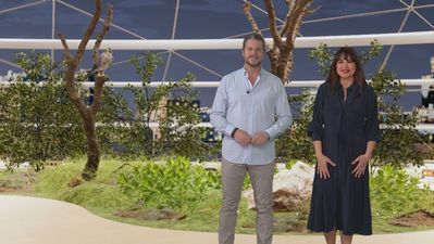 ¿Cómo utilizan los halcones los aeropuertos  para mantener seguros los cielos?